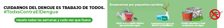 dengue